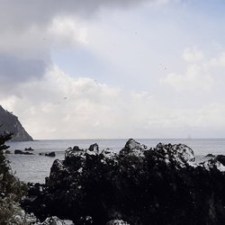 목포기독남성합창단